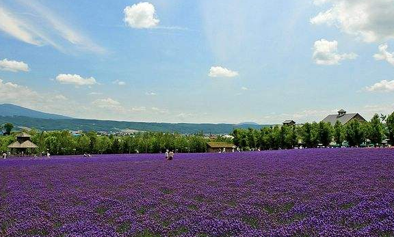 企業郵箱 企業郵箱